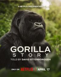 Bir Goril Hikayesi - A Gorilla Story: Told by David Attenborough