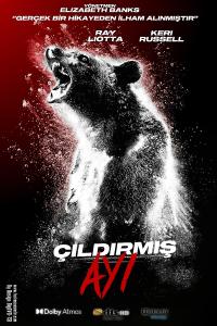 Çıldırmış Ayı - Cocaine Bear