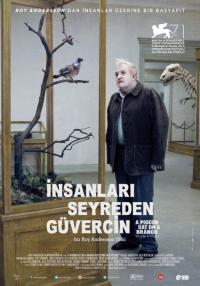 İnsanları Seyreden Güvercin - A Pigeon Sat on a Branch Reflecting on Existence