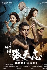 Usta Z: Ip Man'in Mirası - Ip Man Legacy: Master Z
