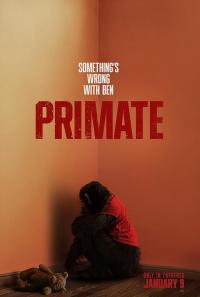 Primate / Primat