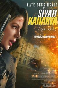 Siyah Kanarya - Canary Black