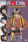 Evde Tek Başına 3 - Home Alone 3