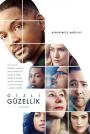 Gizli Güzellik - Collateral Beauty