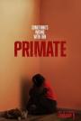 Primate / Primat